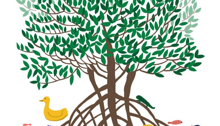 맹그로브 mangrove 엠지알브이 MGRV 티알유 건축사