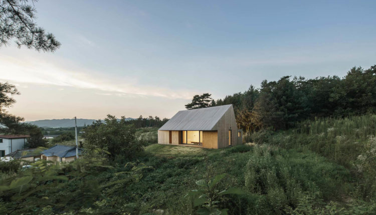 에스티피엠제이 건축 stpmj Architecture Shear house