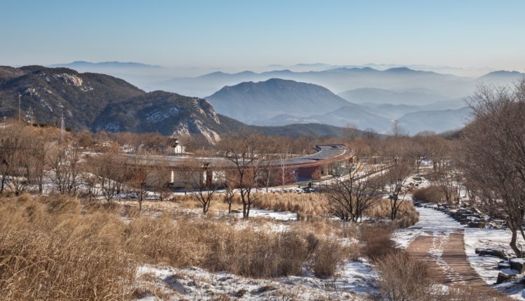 철쭉21