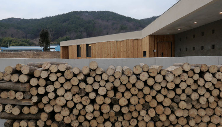 ©TURTLE Architects