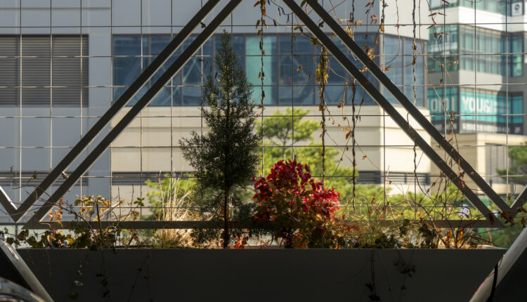 dongtan-park-lot-22