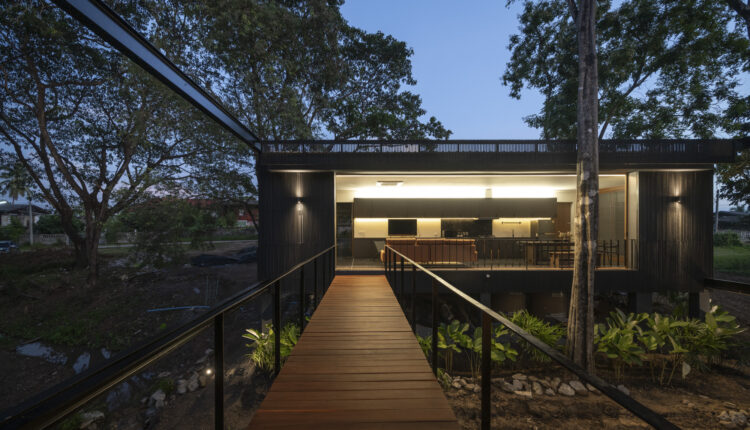 jomthong-raintree-10