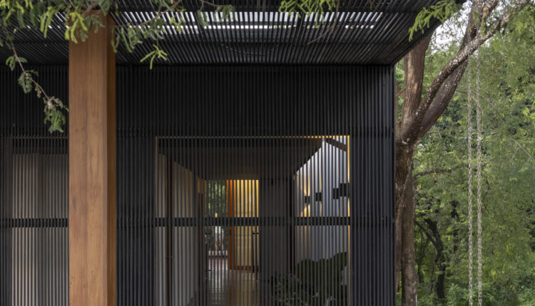 jomthong-raintree-12