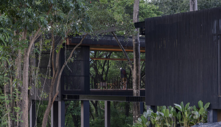 jomthong-raintree-13