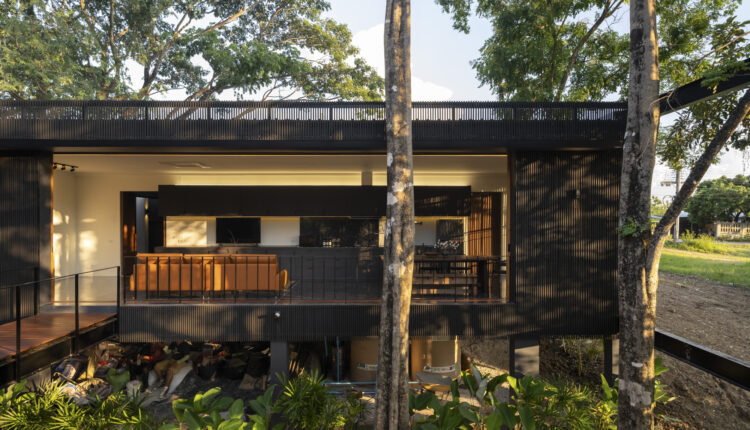 jomthong-raintree-15