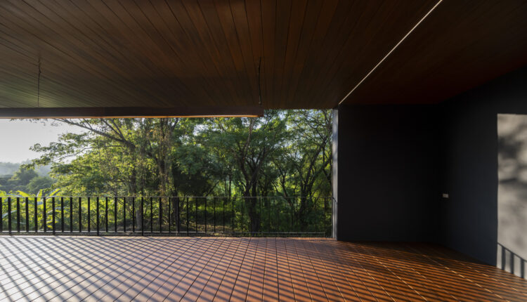 jomthong-raintree-18