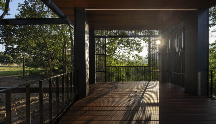 jomthong-raintree-19