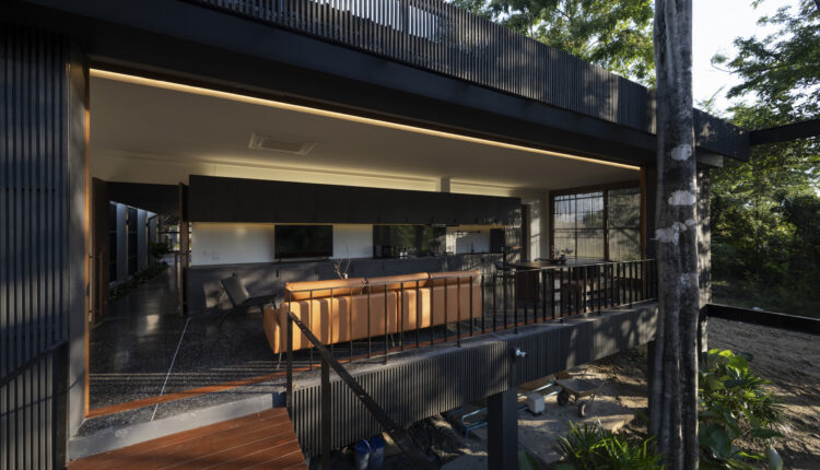 jomthong-raintree-22