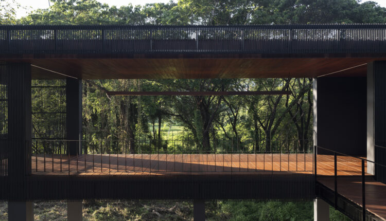 jomthong-raintree-23