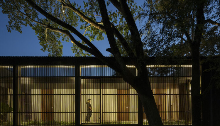 jomthong-raintree-8